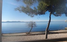 Apartment Zadar - Pine Diklo